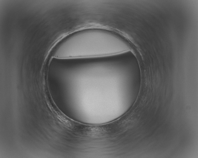 X0000054381318200507290847