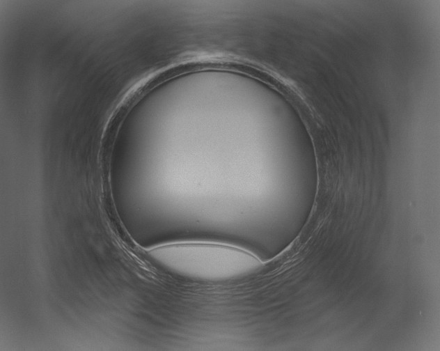 X0000054381319200507290847