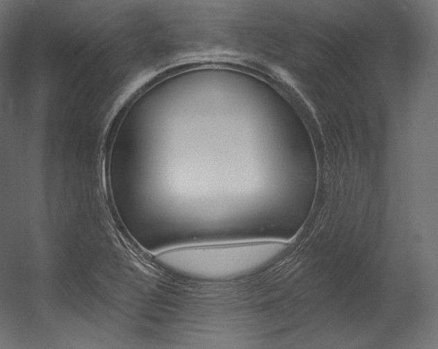 X0000054381320200507290847