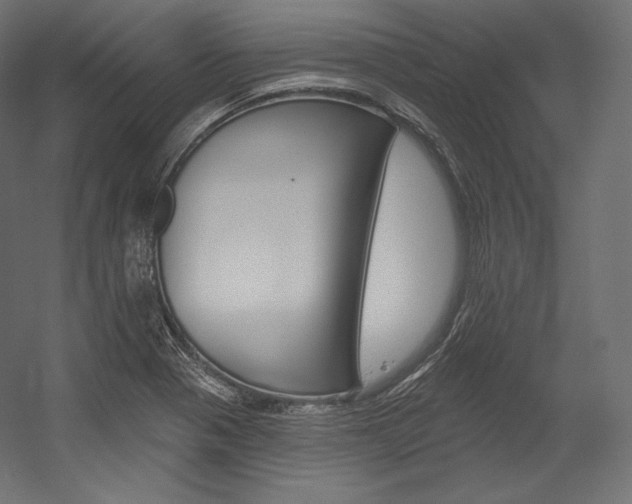 X0000054381321200507290847