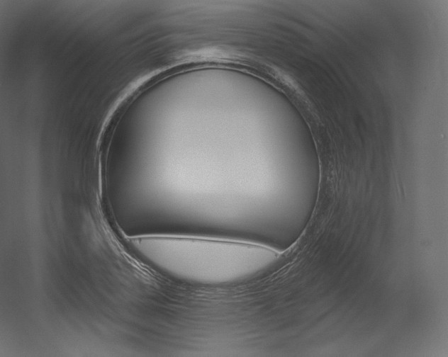 X0000054381323200507290847
