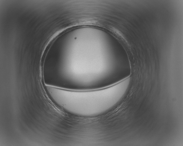 X0000054381324200507290847