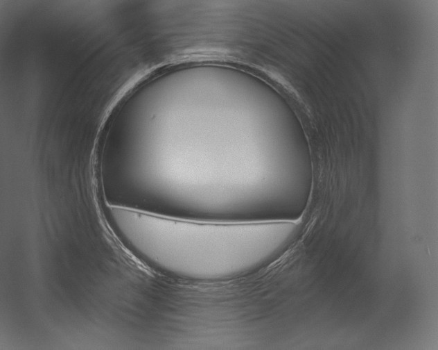 X0000054381325200507290847