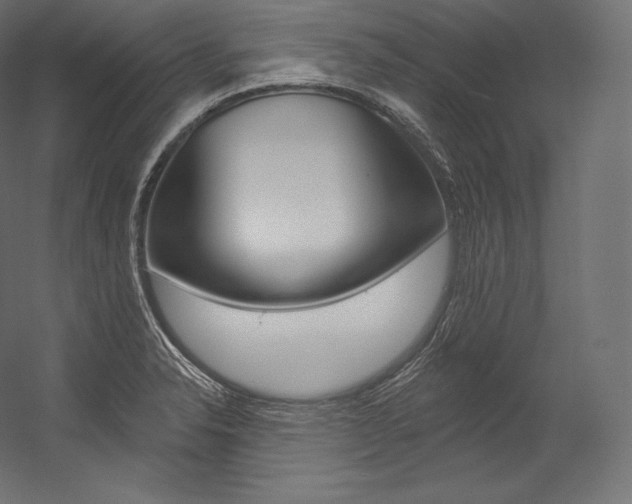 X0000054381326200507290847