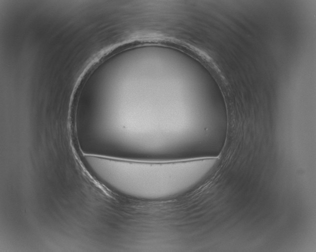 X0000054381327200507290847