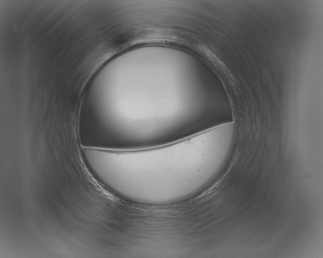 X0000054381329200507290847