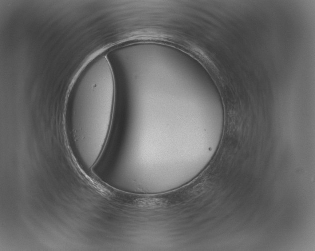 X0000054381331200507290847