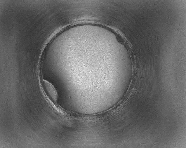 X0000054381333200507290847