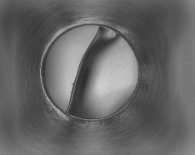 X0000054381334200507290847