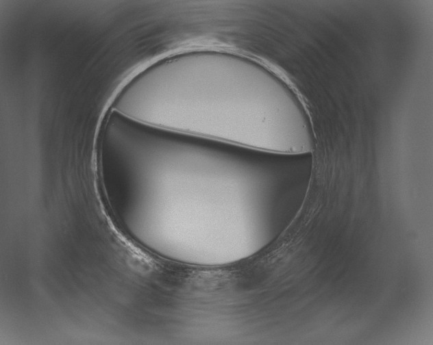 X0000054381335200507290847