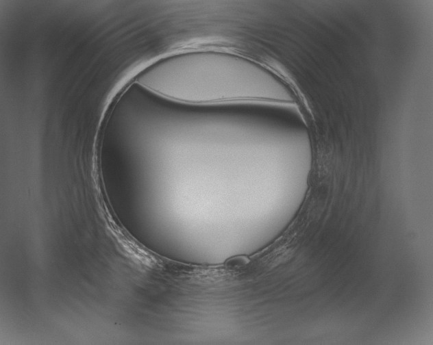 X0000054381336200507290847