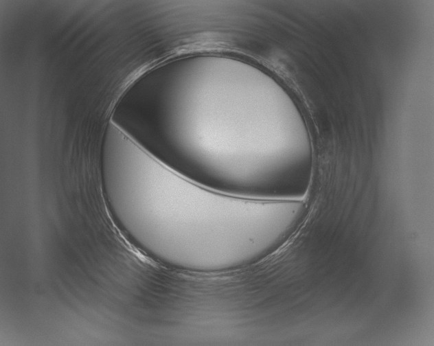 X0000054381337200507290847