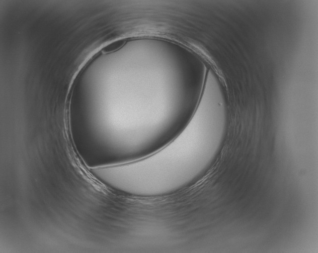 X0000054381340200507290847