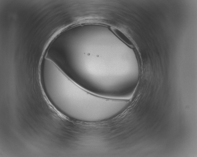 X0000054381341200507290847