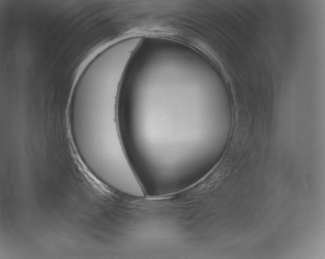 X0000054381344200507290847