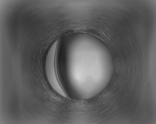X0000054381345200507290846