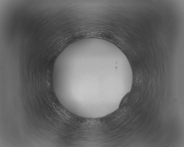 X0000054381346200507290846