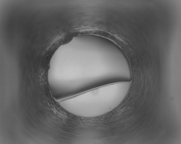 X0000054381351200507290846
