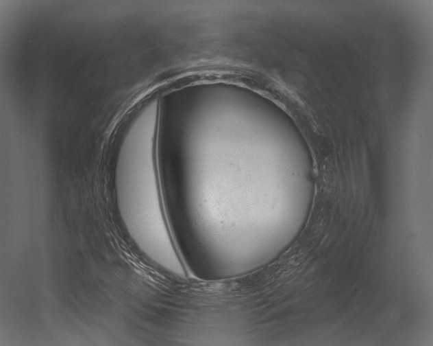 X0000054381352200507290846
