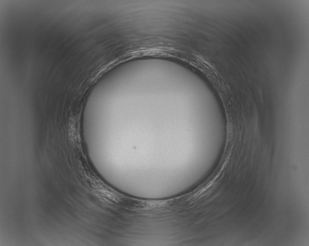 X0000054381353200507290846