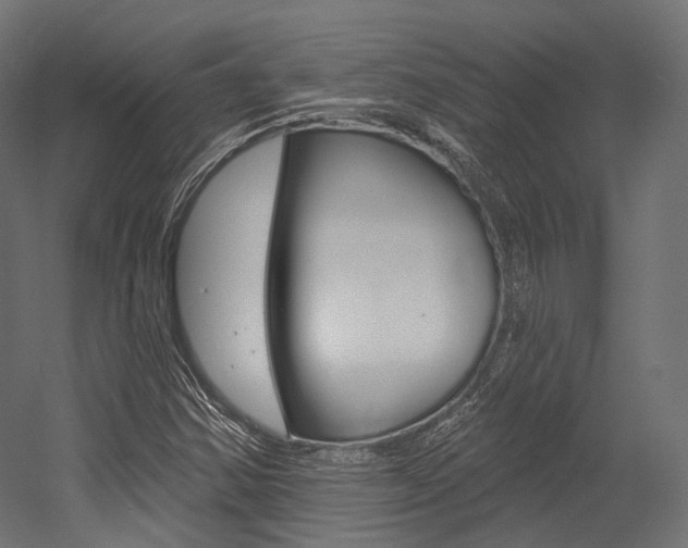 X0000054381354200507290846