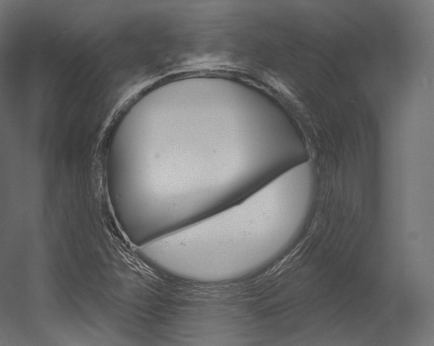 X0000054381358200507290846
