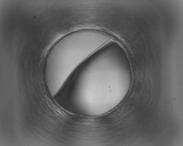 X0000054381359200507290846