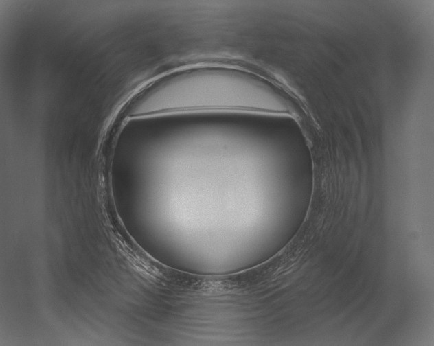X0000054381360200507290846