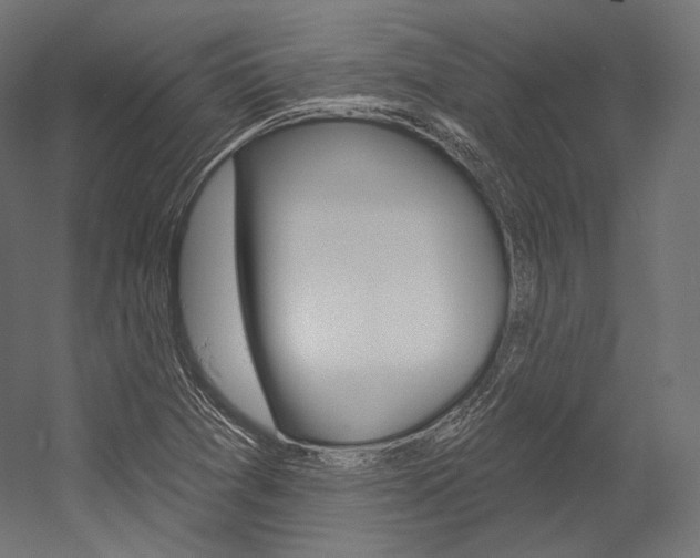 X0000054381361200507290846