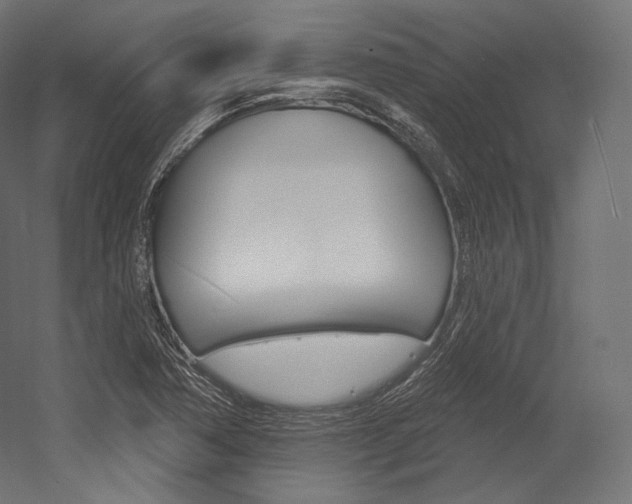 X0000054381362200507290846