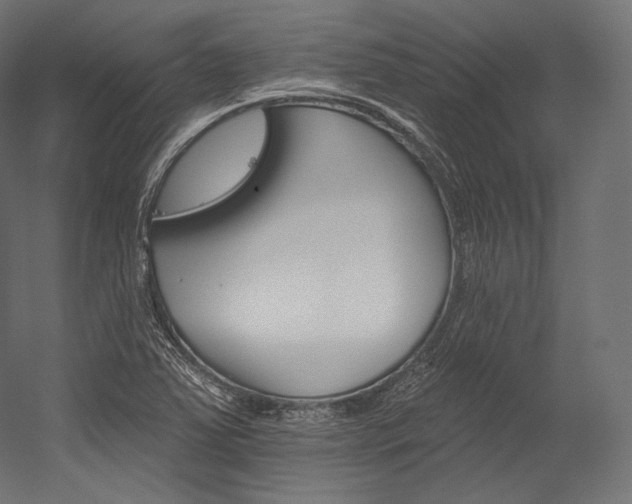 X0000054381363200507290846