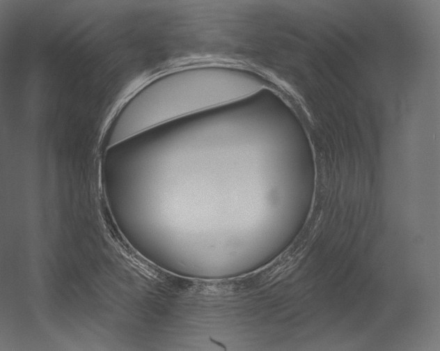 X0000054381365200507290846