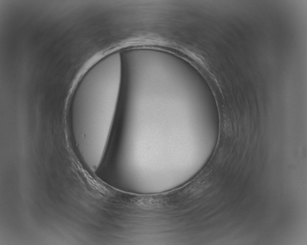 X0000054381366200507290846
