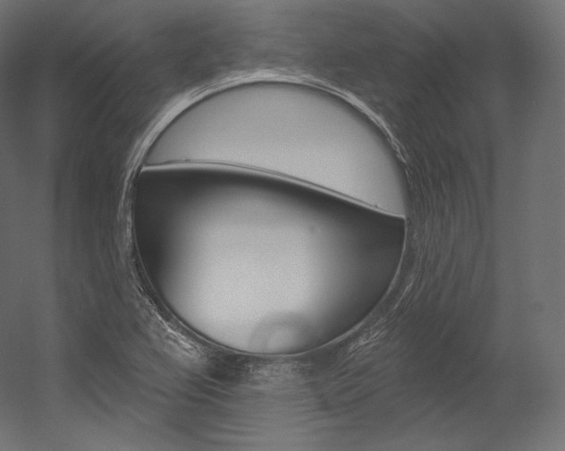 X0000054381367200507290846