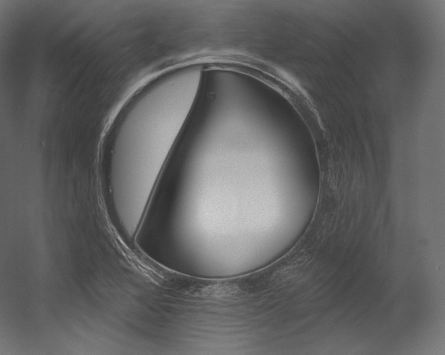 X0000054381368200507290846