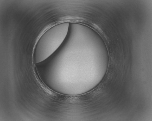 X0000054381370200507290846