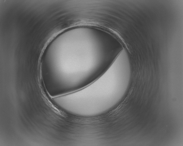 X0000054381371200507290846