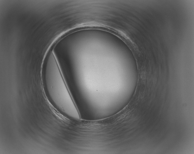 X0000054381372200507290846