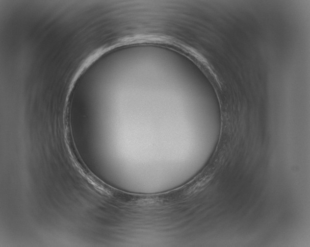 X0000054381373200507290846
