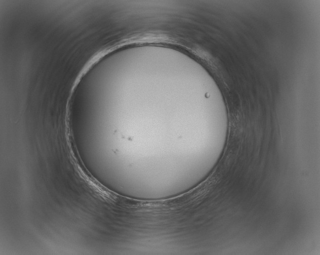 X0000054381374200507290846
