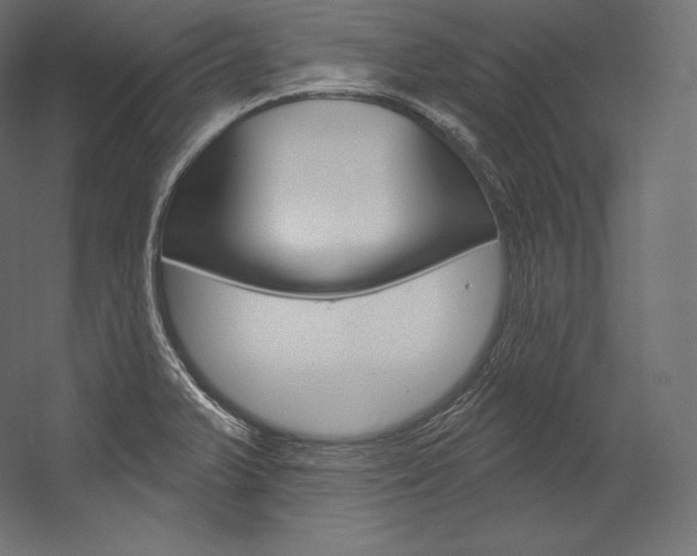 X0000054381375200507290846