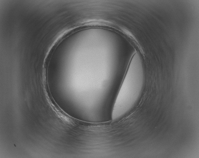 X0000054381376200507290846