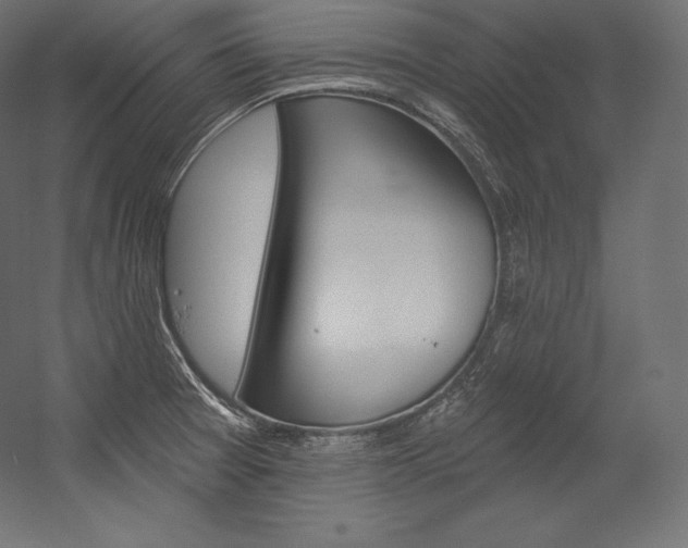 X0000054381377200507290846