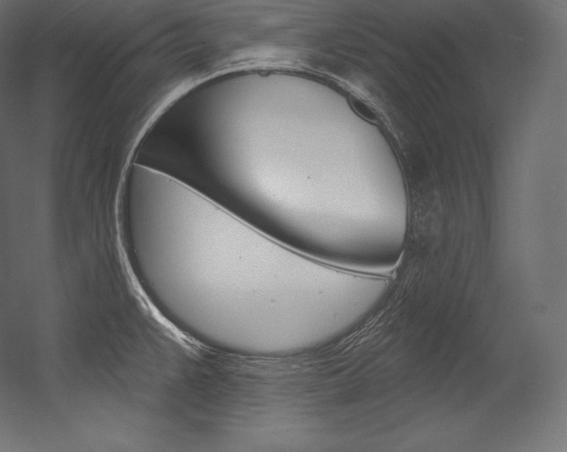 X0000054381383200507290845
