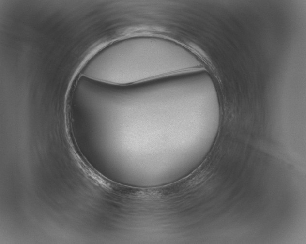 X0000054381384200507290845