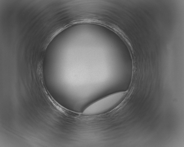 X0000054381385200507290845
