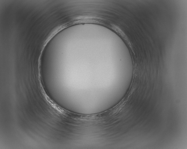 X0000054381386200507290845