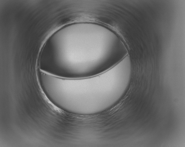 X0000054381387200507290845