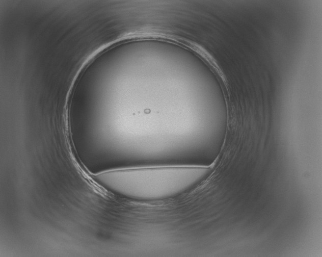 X0000054381388200507290845