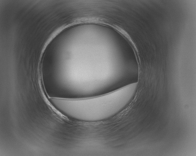 X0000054381389200507290845